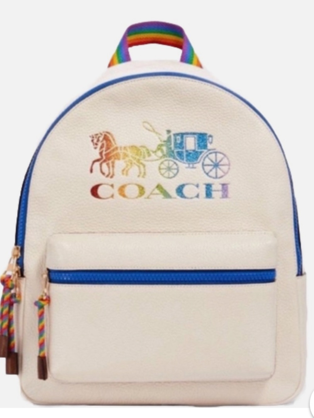 Coach Backpack and Dustbag